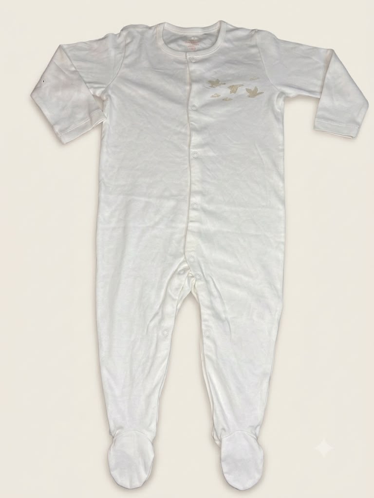 Sweet Little Birds Baby Sleepsuit (footed)