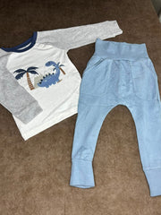 Dino Cotton Co-Ord Set